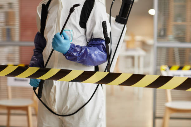 Professional Sewage Cleanup technician working in Broadview Heights, OH